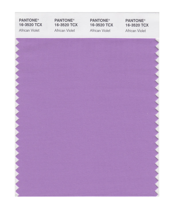 African Violet