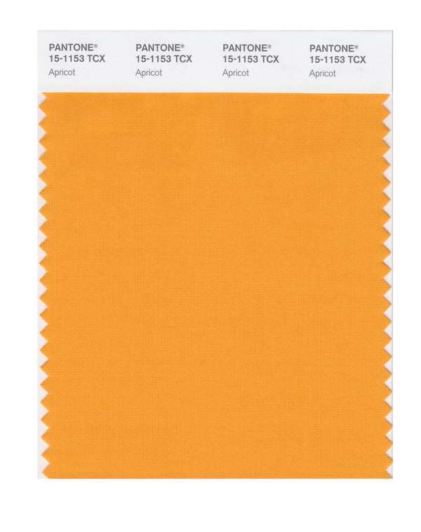 Apricot