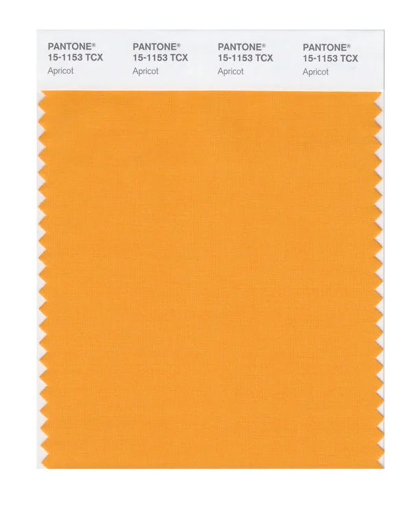 Apricot