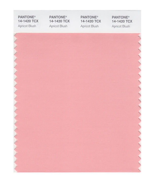 Apricot Blush
