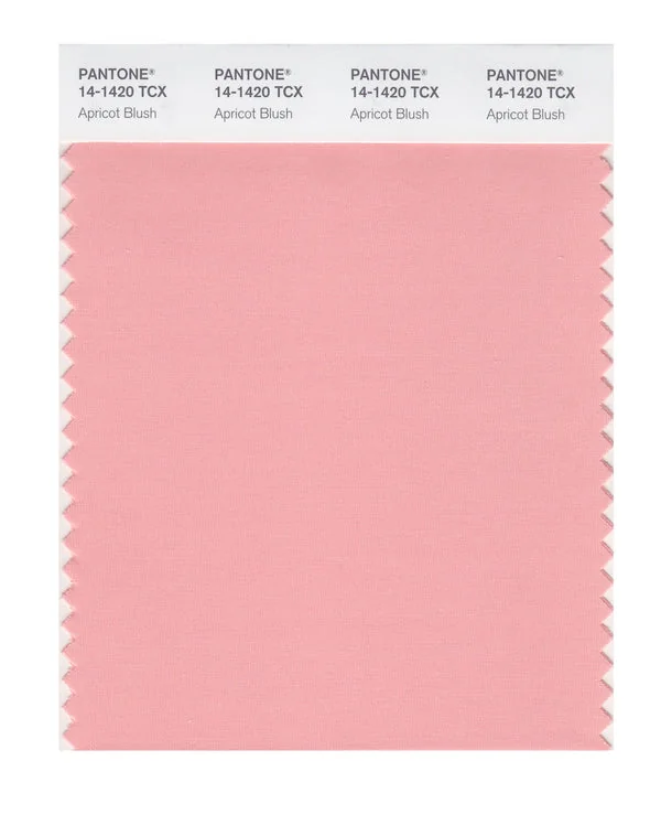 Apricot Blush