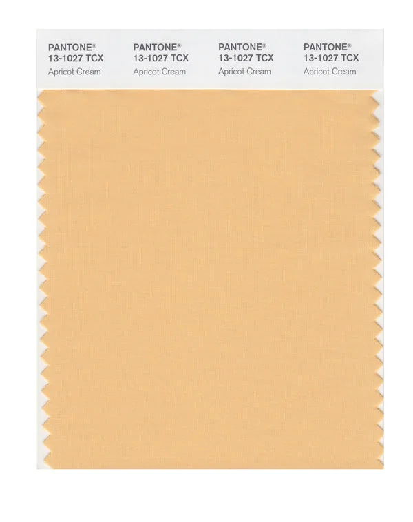 Apricot Cream