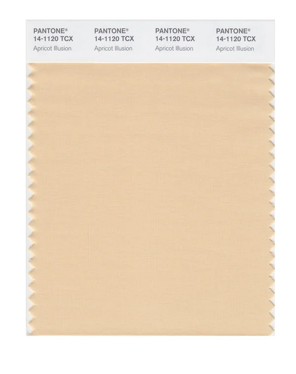 Apricot Illusion