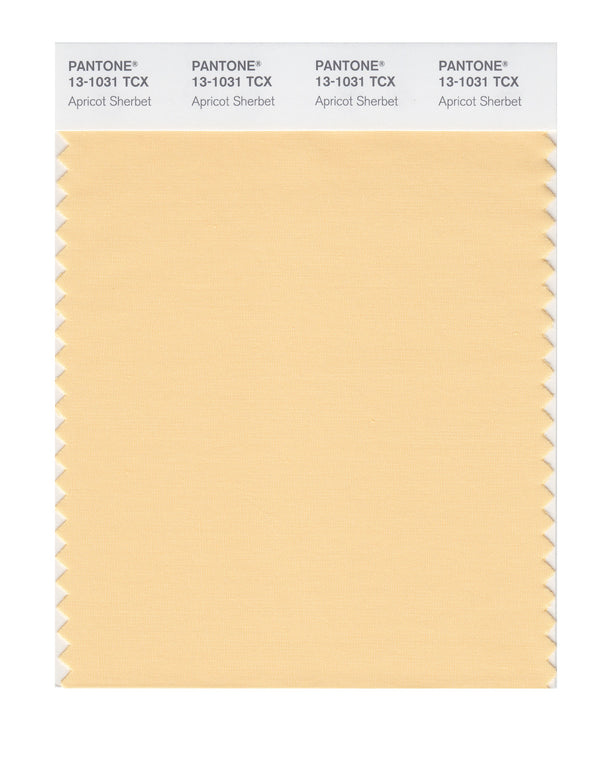 Apricot Sherbet