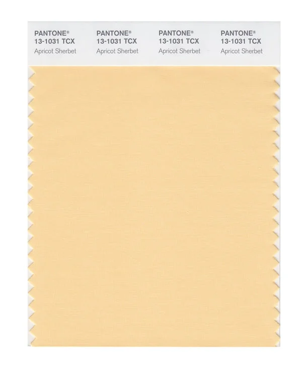 Apricot Sherbet