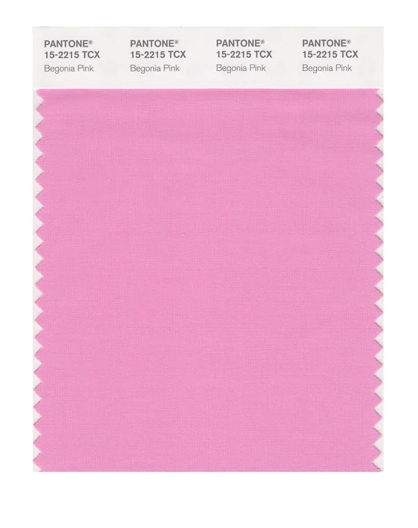 Begonia Pink