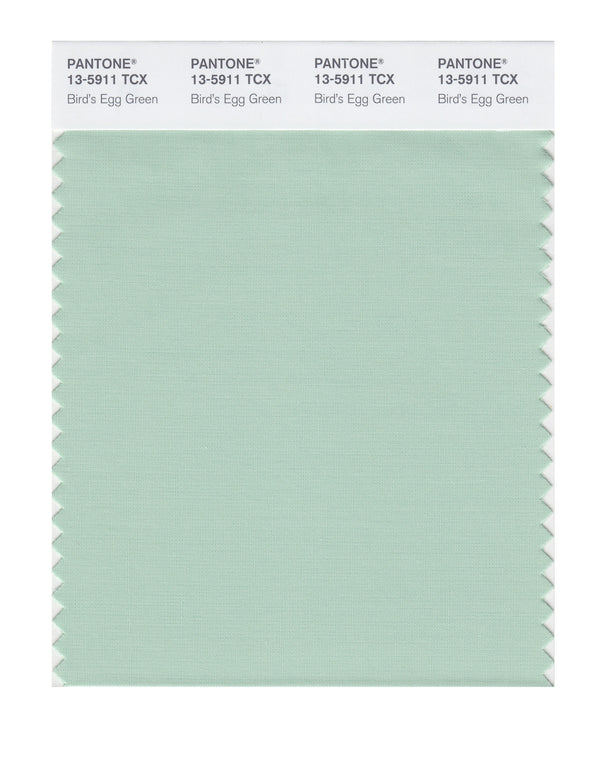 Birds Egg Green