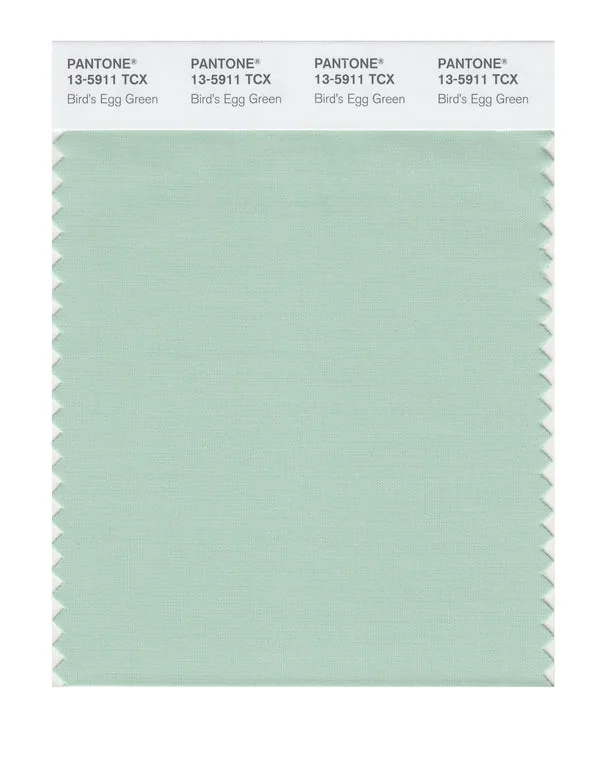 Birds Egg Green
