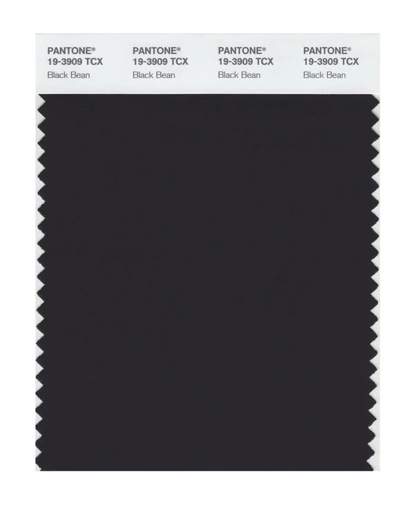 Black Bean