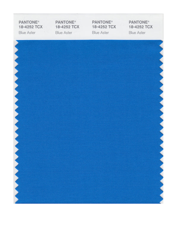 Blue Aster