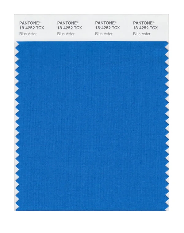 Blue Aster