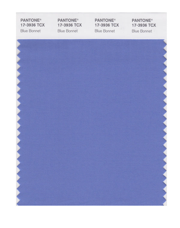 Blue Bonnet