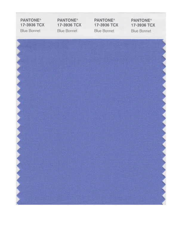 Blue Bonnet