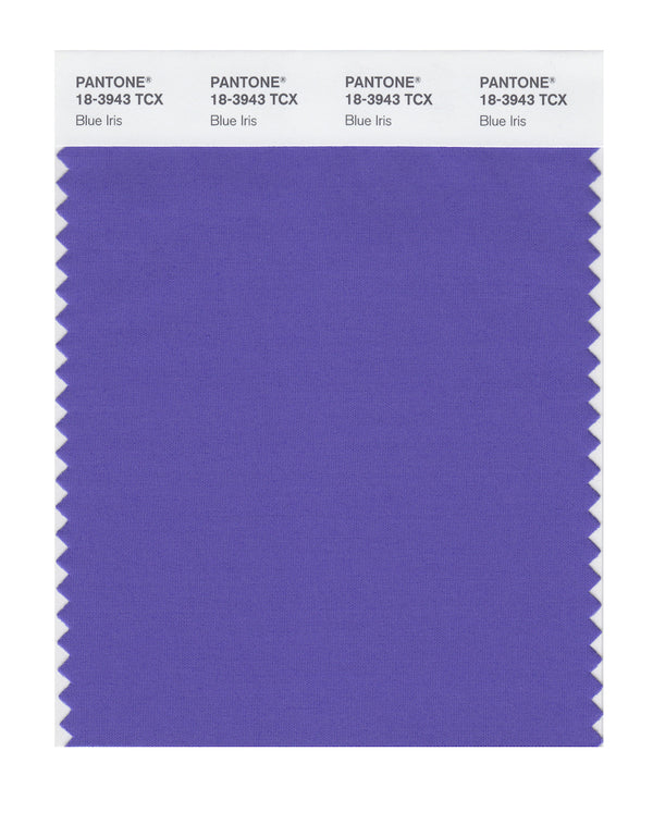 Blue Iris