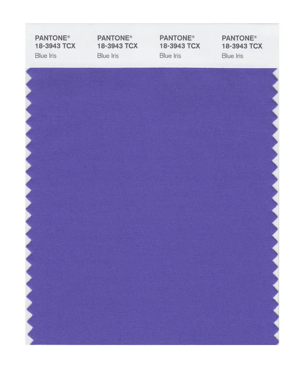 Blue Iris