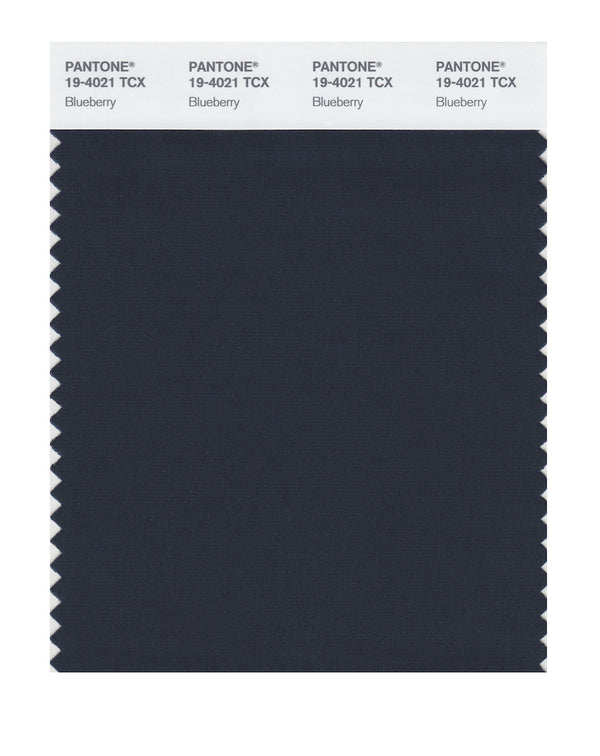 Blueberry