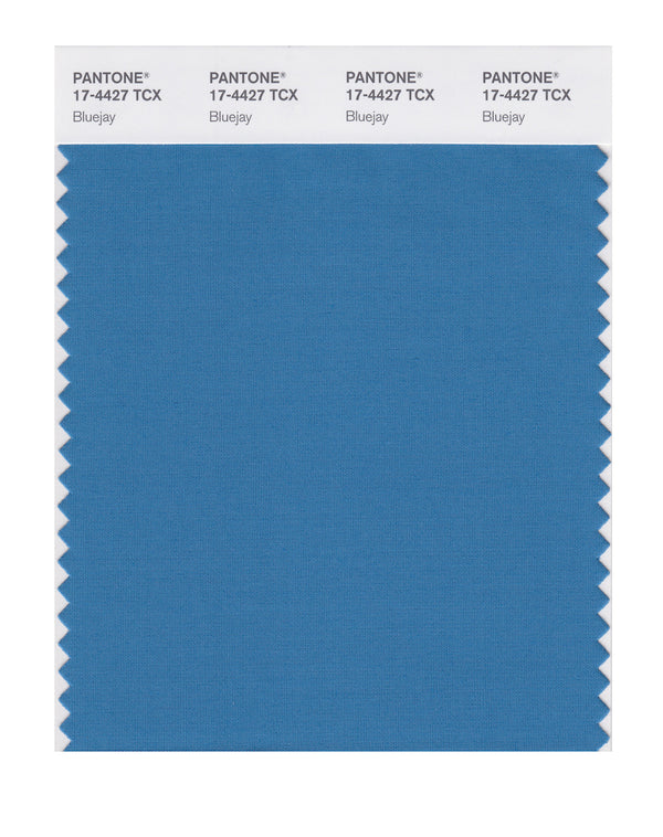 Bluejay