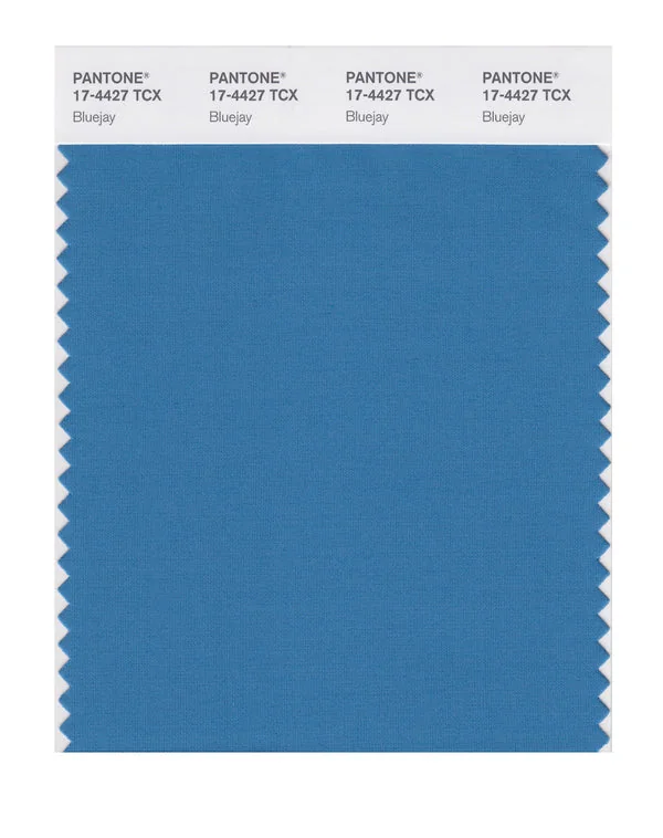 Bluejay