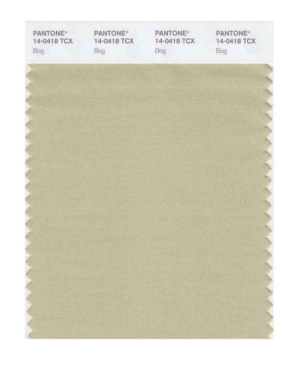 Bog