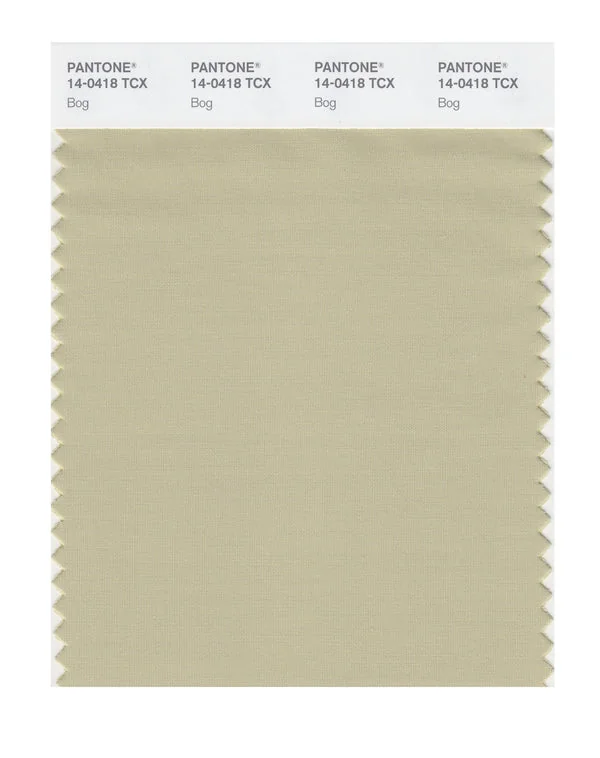 Bog
