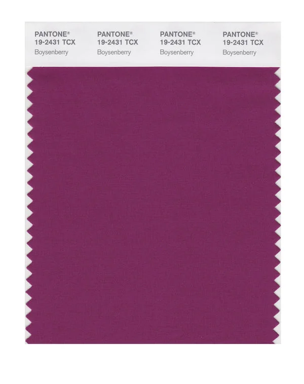 Boysenberry