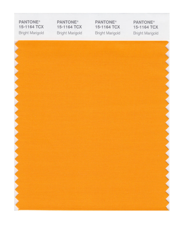 Bright Marigold