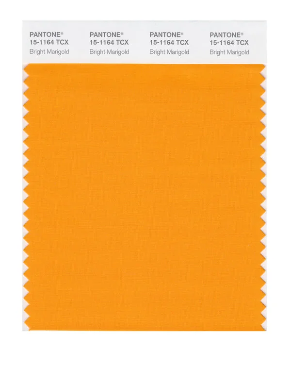 Bright Marigold