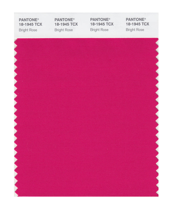 Bright Rose
