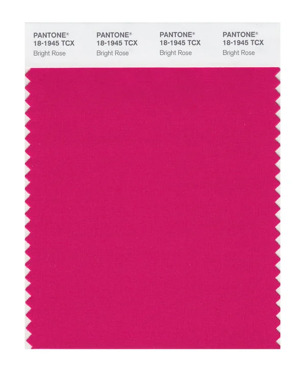Bright Rose
