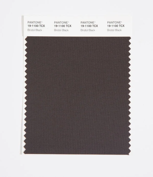 Bristol Black
