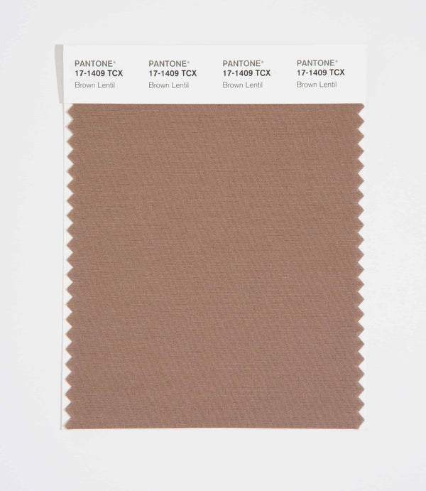 Brown Lentil