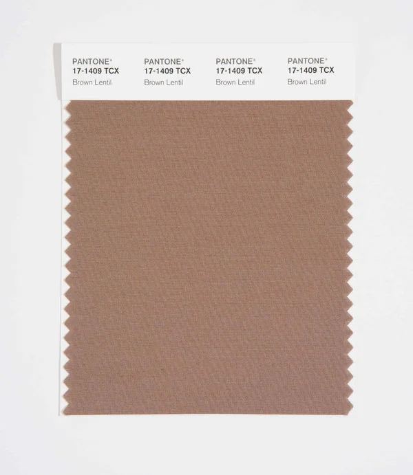 Brown Lentil