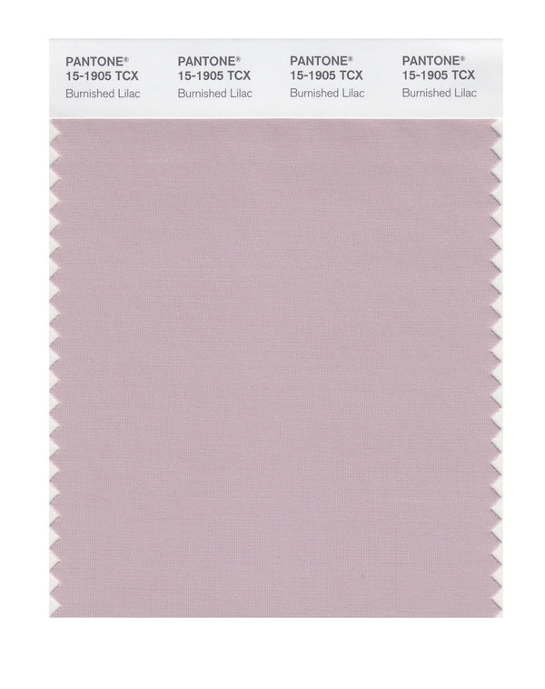 Burnished Lilac