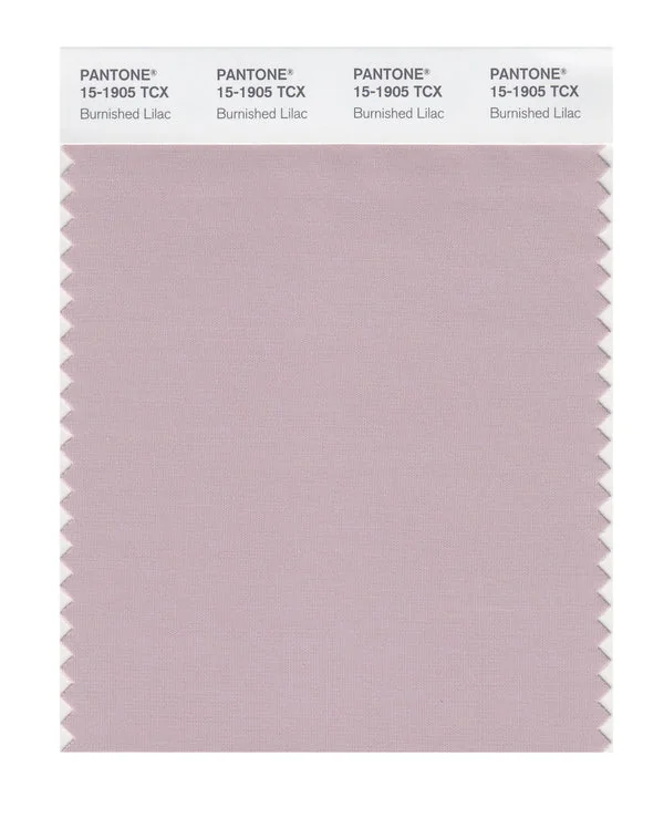 Burnished Lilac