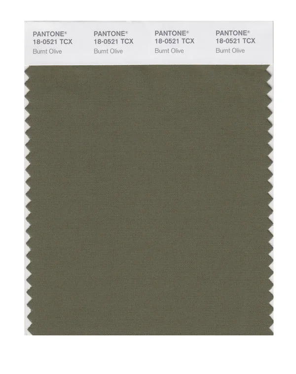 Burnt Olive