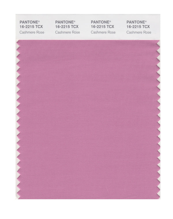 Cashmere Rose