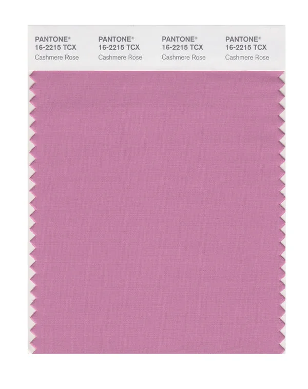 Cashmere Rose