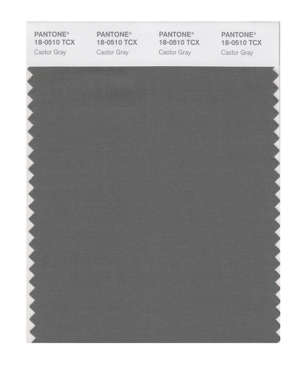Castor Gray