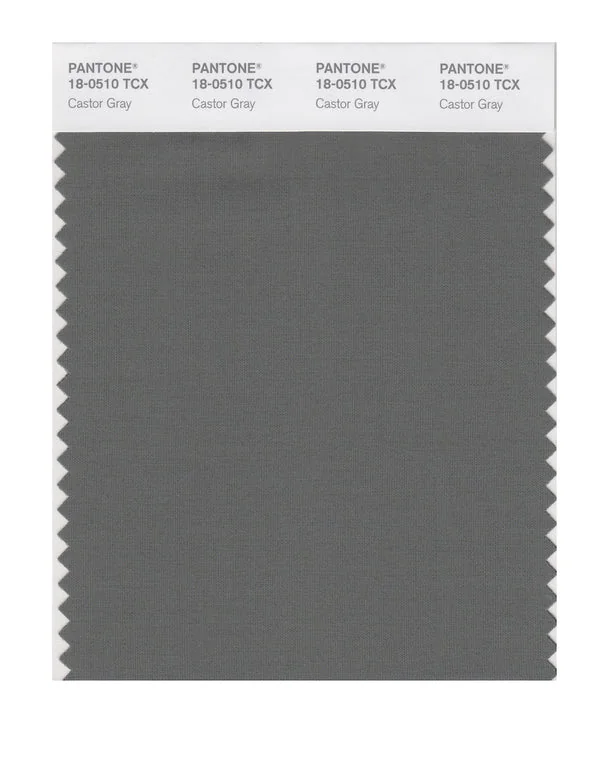 Castor Gray