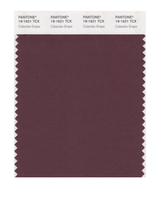 Catawba Grape