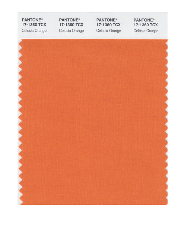 Celosia Orange