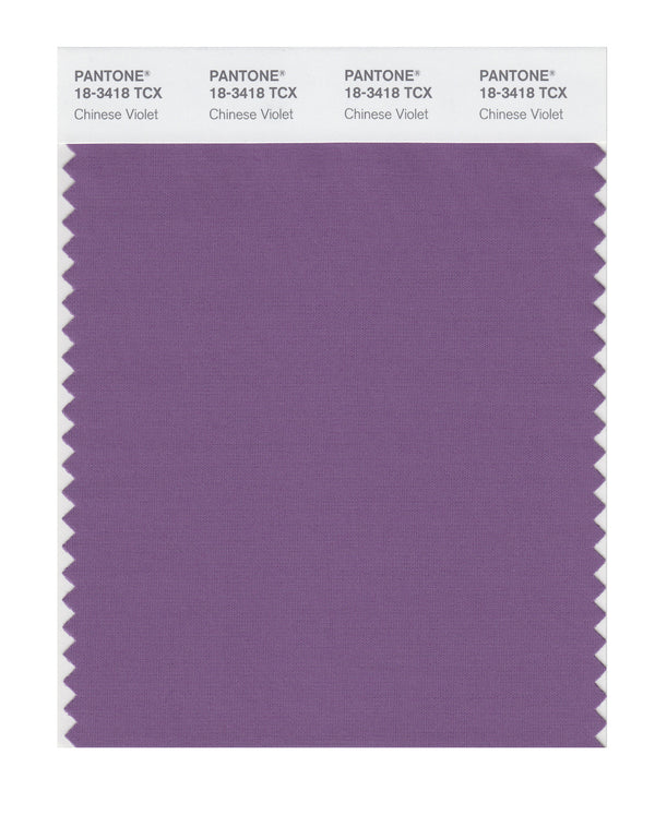 Chinese Violet