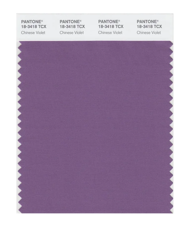 Chinese Violet