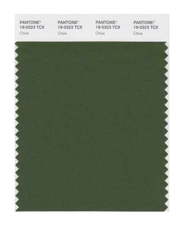 Chive