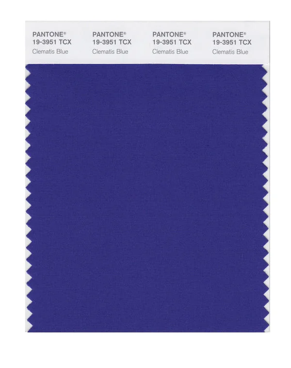 Clematis Blue
