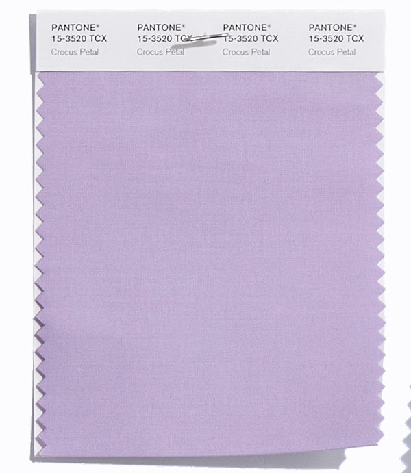 Crocus Petal
