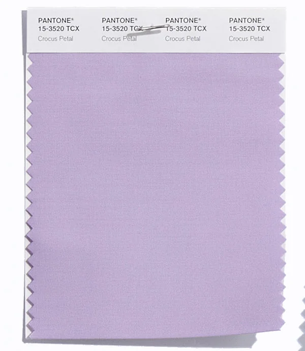 Crocus Petal