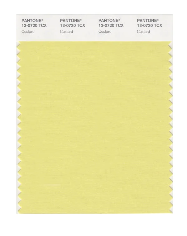 Custard