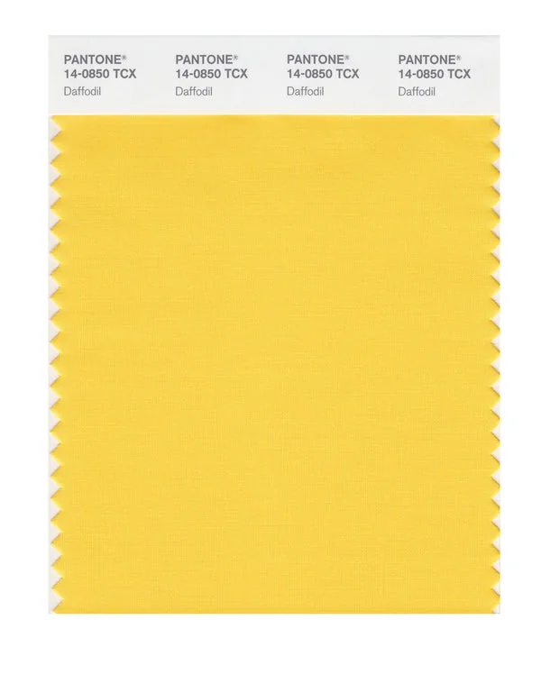 Daffodil