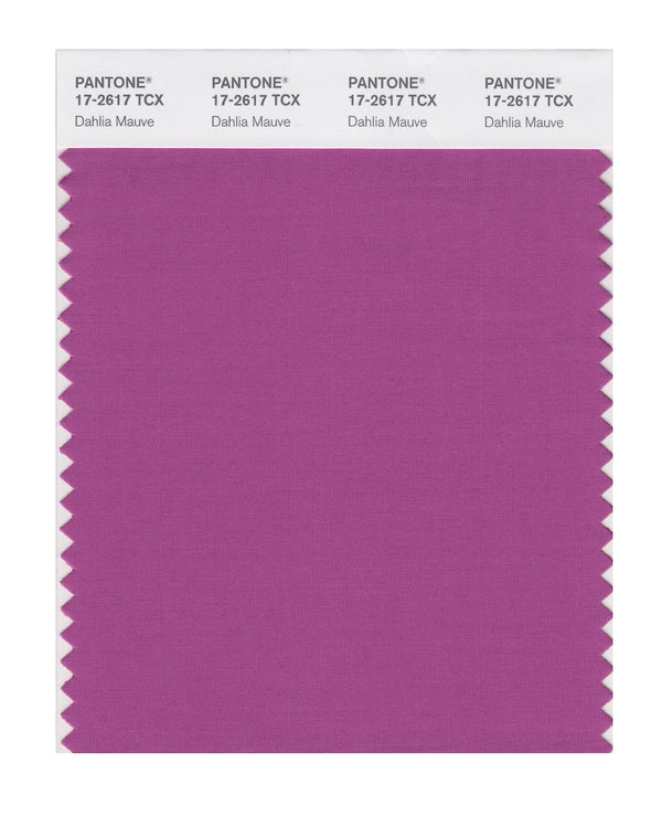 Dahlia Mauve